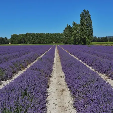 L'echappee Provencale Saint-Laurent-des-Arbres