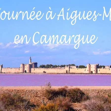 L'echappee Provencale - 4 Etoiles * Saint-Laurent-des-Arbres