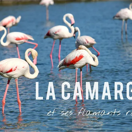 Dom wakacyjny L'echappee Provencale - 4 Etoiles Saint-Laurent-des-Arbres