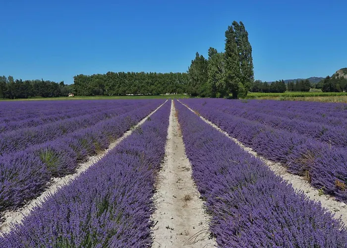 L'echappee Provencale - 4 Etoiles Saint-Laurent-des-Arbres
