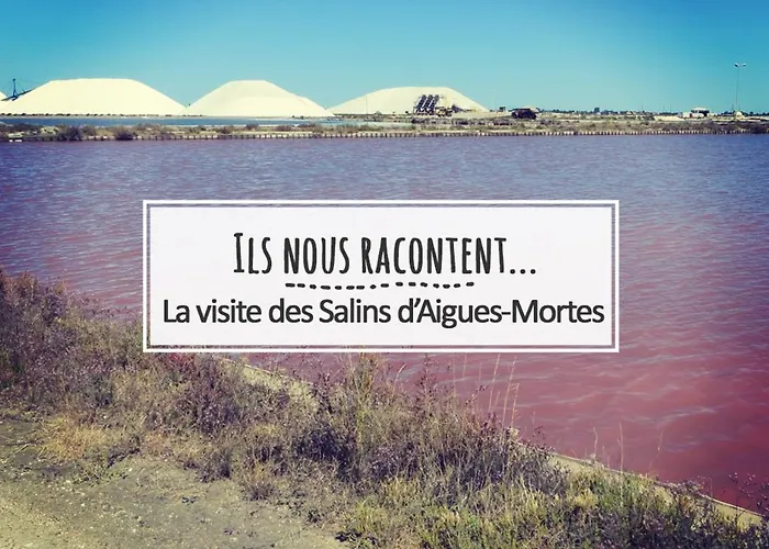 別荘 L'echappee Provencale - 4 Etoiles