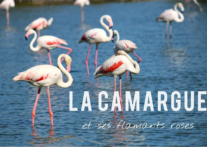 Nyaraló L'echappee Provencale - 4 Etoiles Saint-Laurent-des-Arbres